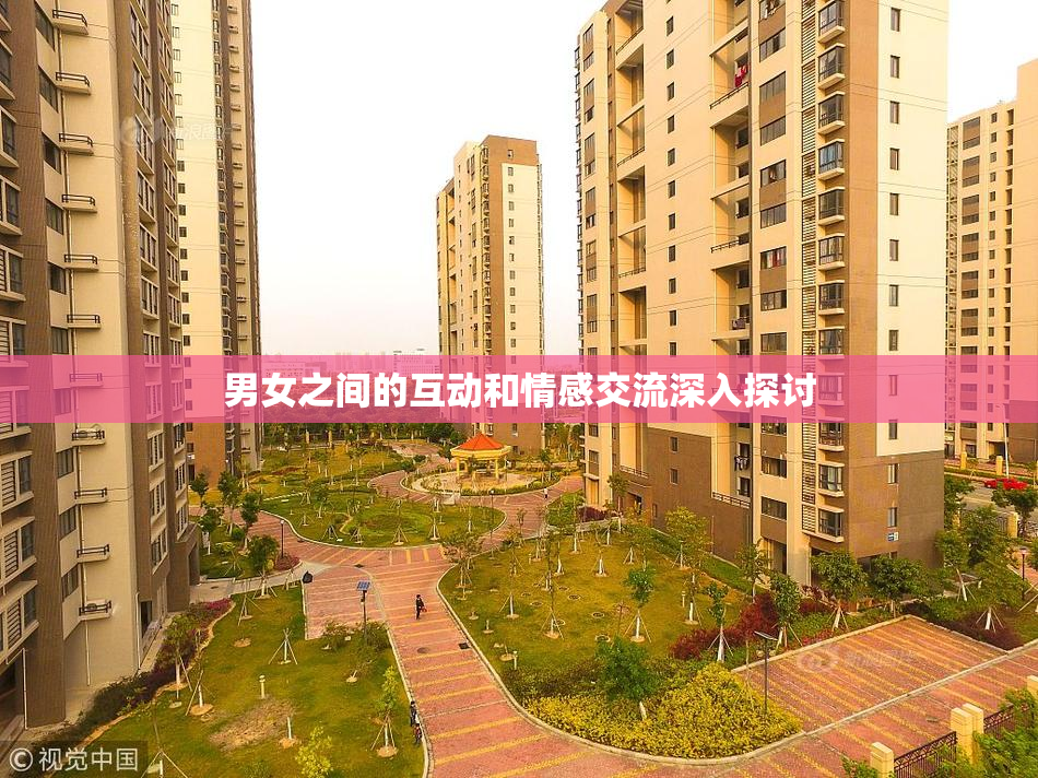 男女之间的互动和情感交流深入探讨