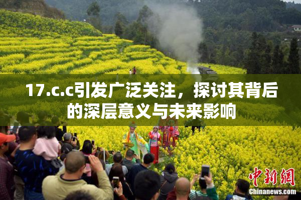 17.c.c引发广泛关注，探讨其背后的深层意义与未来影响