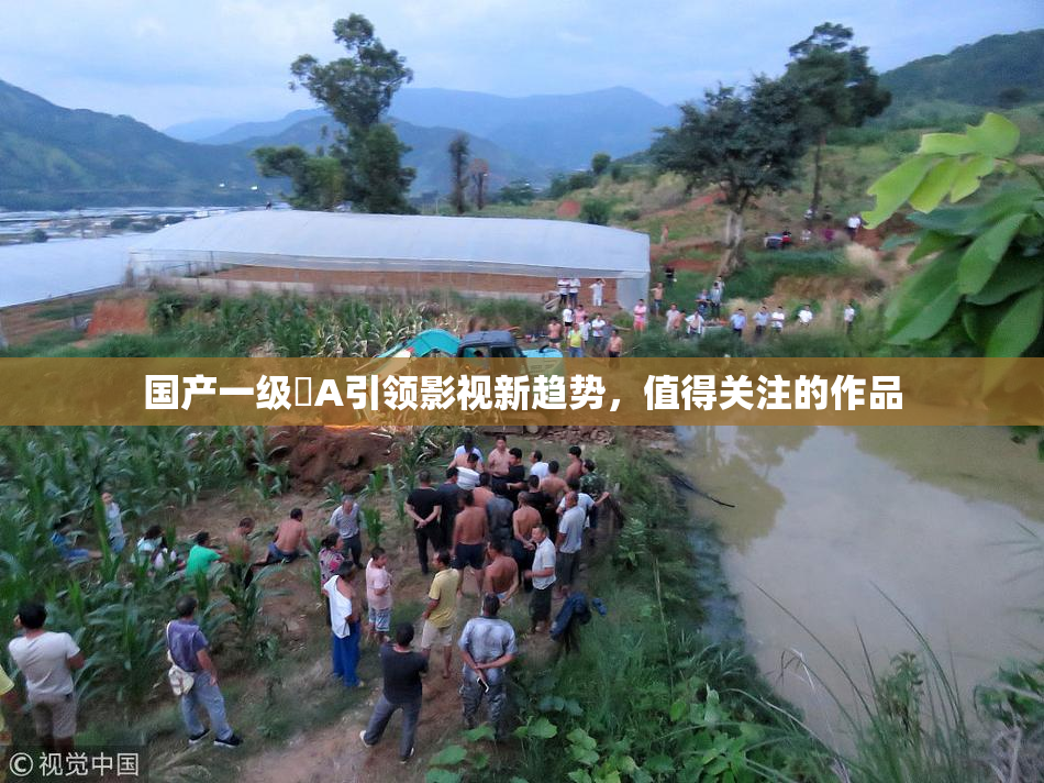 国产一级婬A引领影视新趋势，值得关注的作品