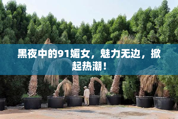黑夜中的91媚女，魅力无边，掀起热潮！