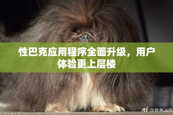 性巴克应用程序全面升级，用户体验更上层楼