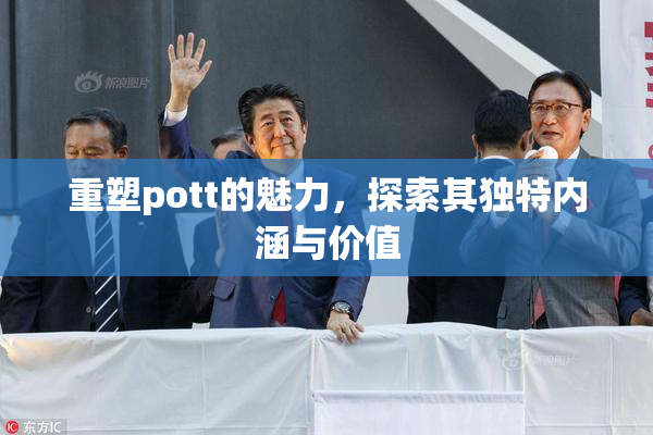 重塑pott的魅力，探索其独特内涵与价值