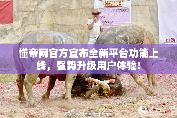 懂帝网官方宣布全新平台功能上线，强势升级用户体验！