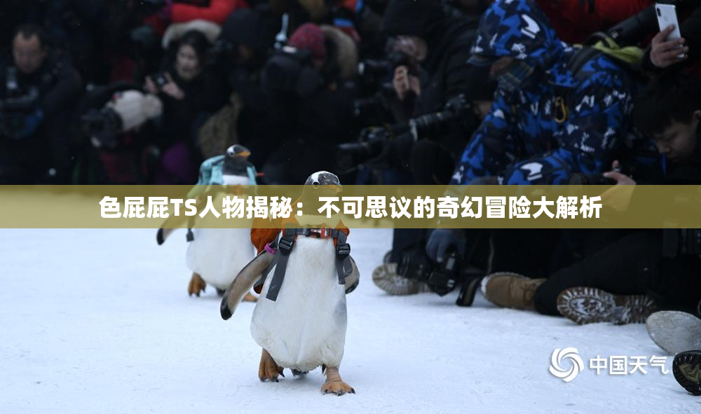 色屁屁TS人物揭秘：不可思议的奇幻冒险大解析