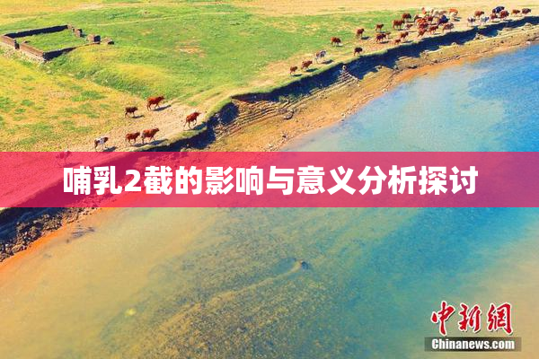 哺乳2截的影响与意义分析探讨