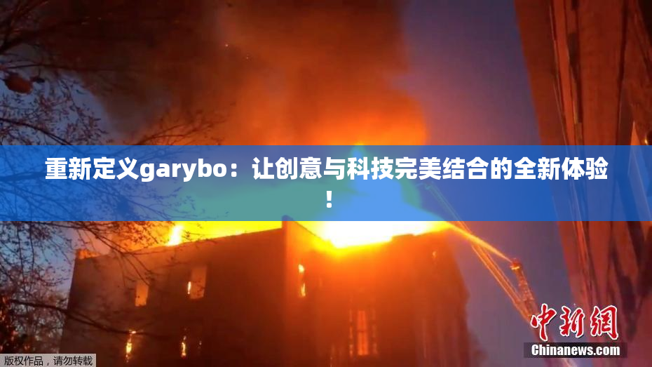 重新定义garybo：让创意与科技完美结合的全新体验！