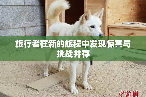 旅行者在新的旅程中发现惊喜与挑战并存