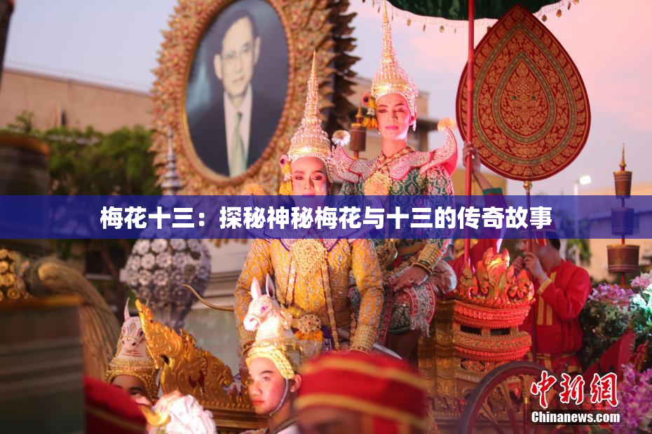 梅花十三：探秘神秘梅花与十三的传奇故事