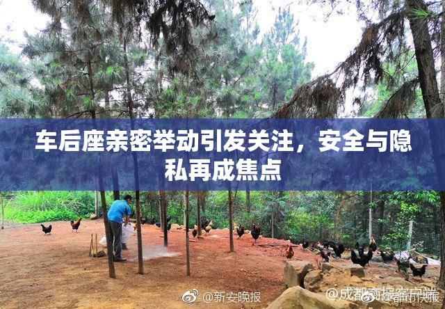 车后座亲密举动引发关注，安全与隐私再成焦点