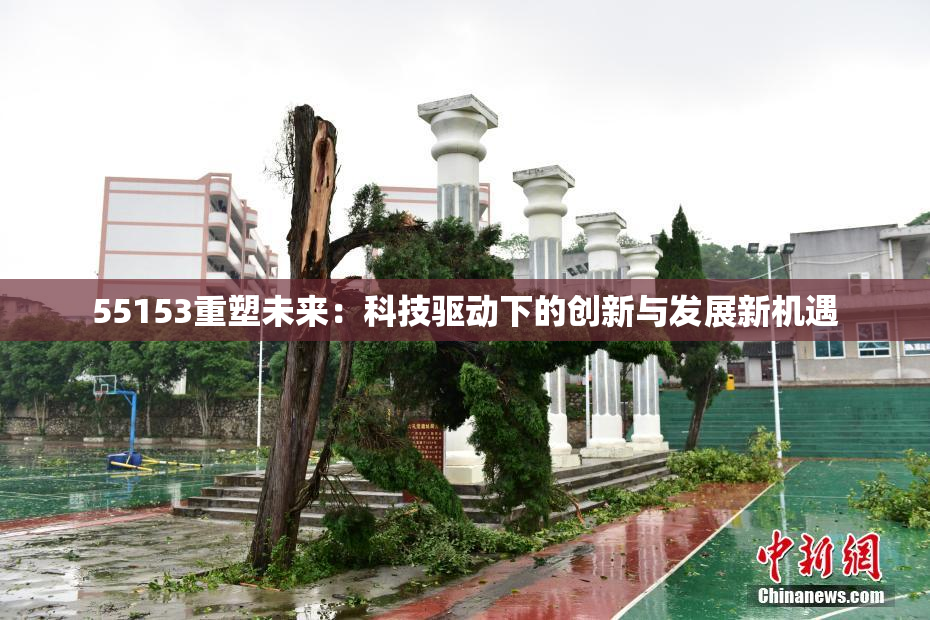 55153重塑未来：科技驱动下的创新与发展新机遇