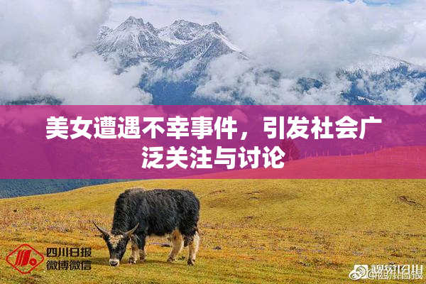 美女遭遇不幸事件，引发社会广泛关注与讨论