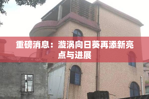 重磅消息：漩涡向日葵再添新亮点与进展