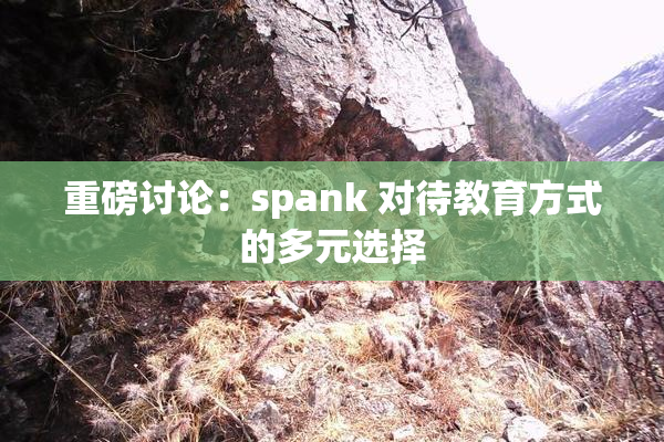 重磅讨论：spank 对待教育方式的多元选择
