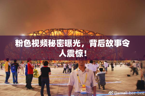 粉色视频秘密曝光，背后故事令人震惊！