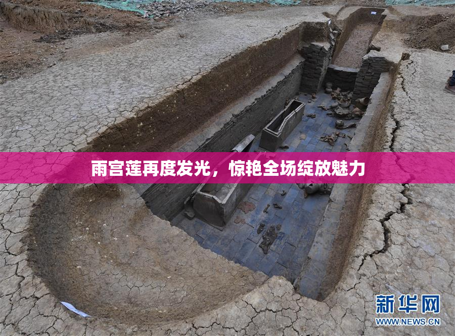 雨宫莲再度发光，惊艳全场绽放魅力