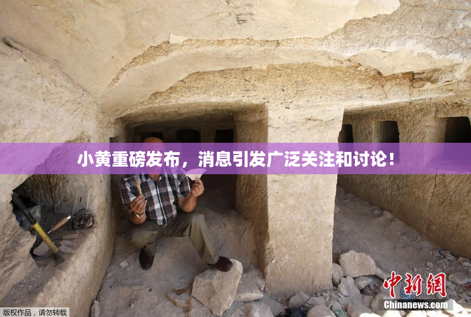 小黄重磅发布，消息引发广泛关注和讨论！