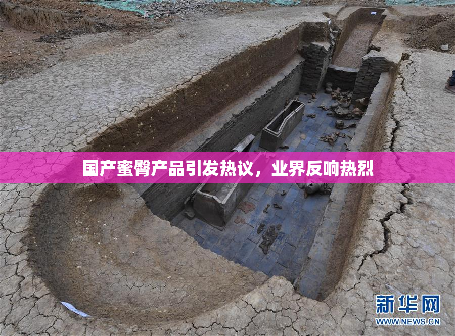 国产蜜臀产品引发热议，业界反响热烈