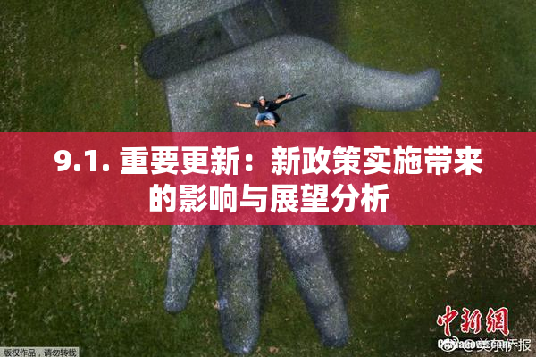 9.1. 重要更新：新政策实施带来的影响与展望分析