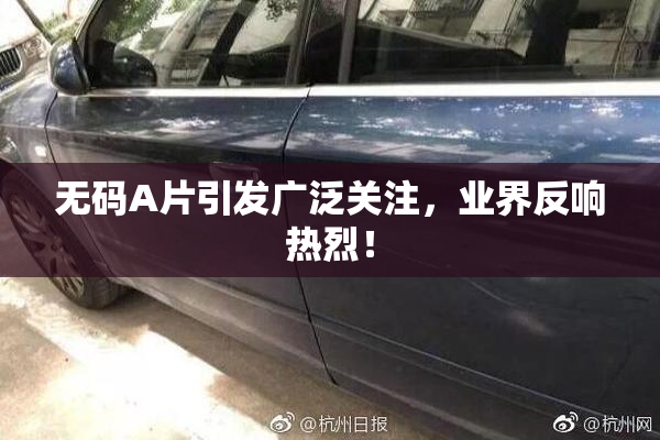 无码A片引发广泛关注，业界反响热烈！