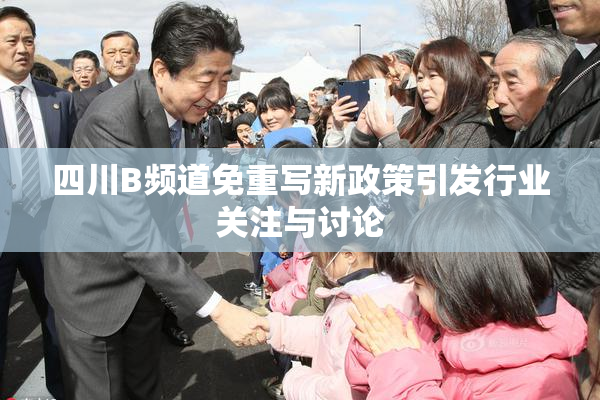 四川B频道免重写新政策引发行业关注与讨论