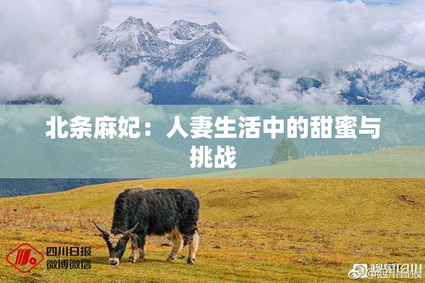 北条麻妃：人妻生活中的甜蜜与挑战
