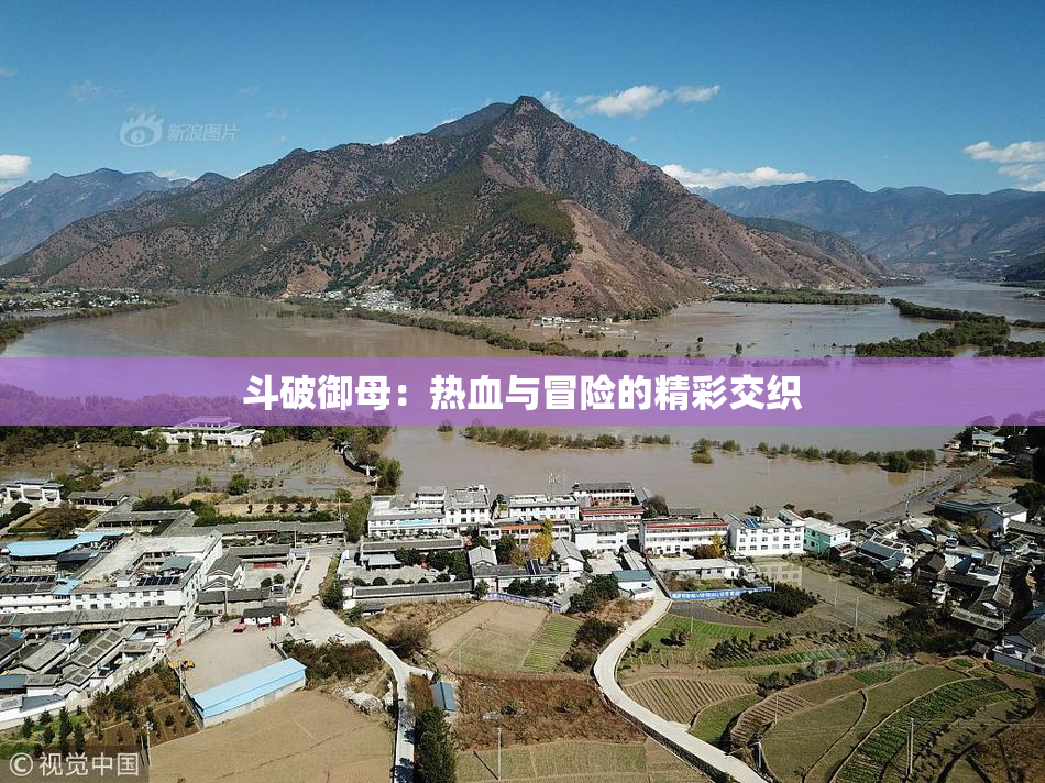 斗破御母：热血与冒险的精彩交织