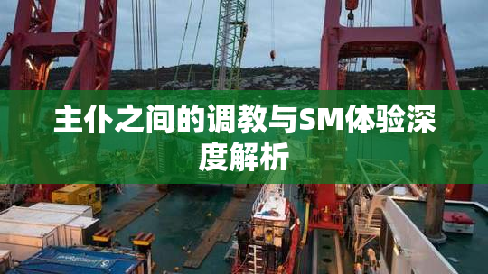 主仆之间的调教与SM体验深度解析