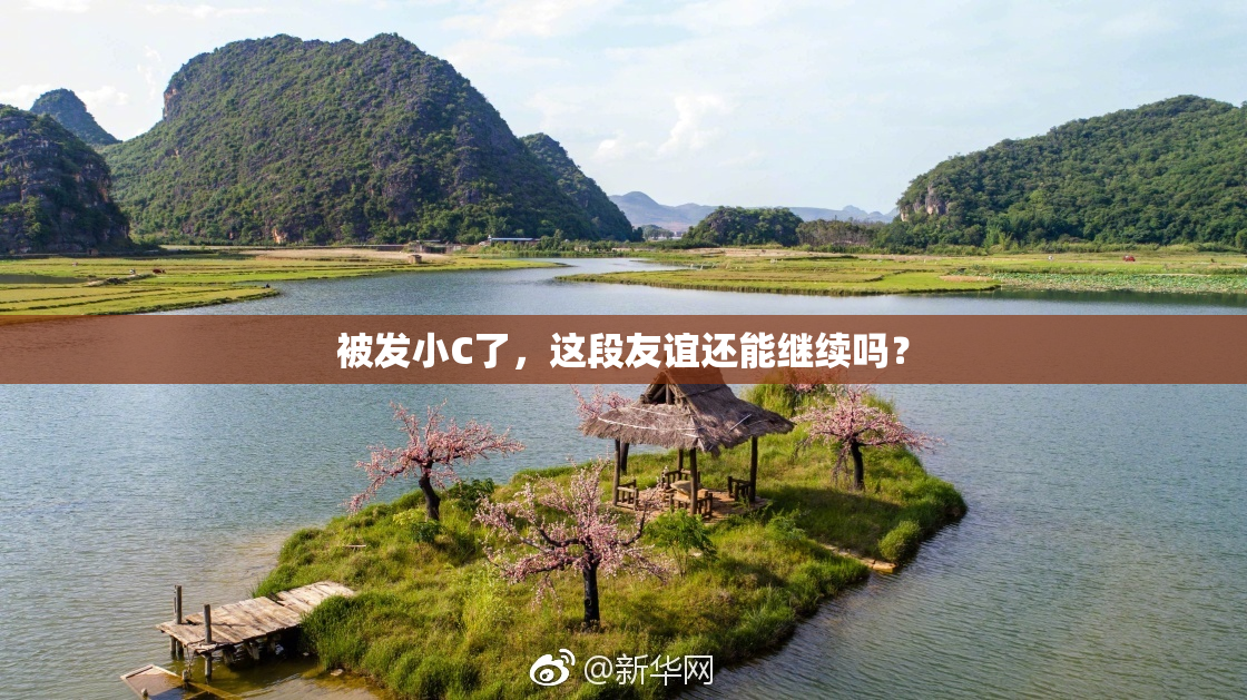 被发小C了，这段友谊还能继续吗？