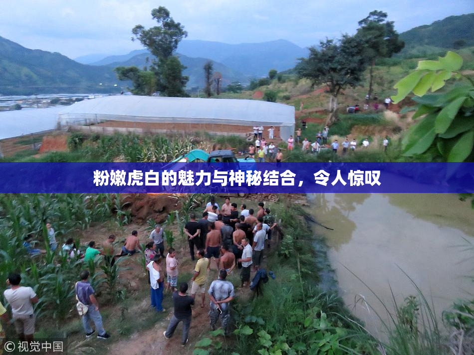粉嫩虎白的魅力与神秘结合，令人惊叹