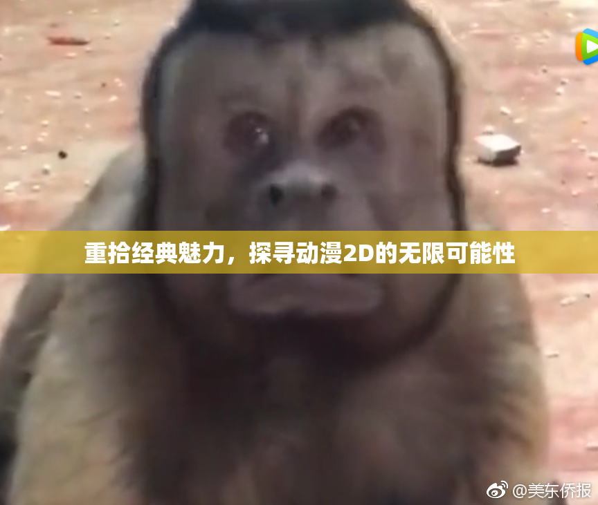 重拾经典魅力，探寻动漫2D的无限可能性