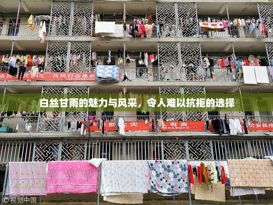 白丝甘雨的魅力与风采，令人难以抗拒的选择