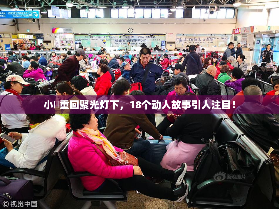 小泬重回聚光灯下，18个动人故事引人注目！