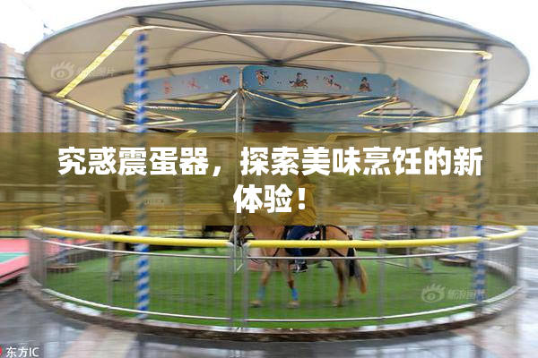 究惑震蛋器，探索美味烹饪的新体验！