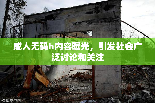成人无码h内容曝光，引发社会广泛讨论和关注