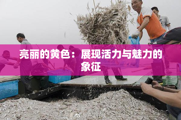 亮丽的黄色：展现活力与魅力的象征