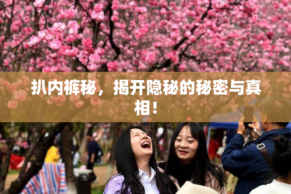 扒内裤秘，揭开隐秘的秘密与真相！