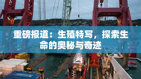 重磅报道：生殖特写，探索生命的奥秘与奇迹