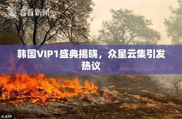 韩国VIP1盛典揭晓，众星云集引发热议