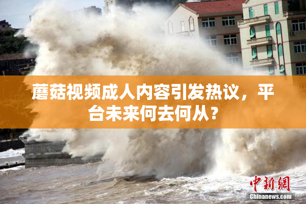 蘑菇视频成人内容引发热议，平台未来何去何从？
