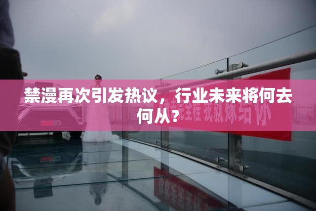 禁漫再次引发热议，行业未来将何去何从？