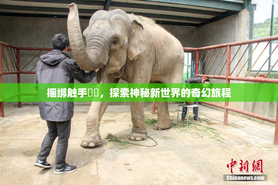捆绑触手❌‌，探索神秘新世界的奇幻旅程