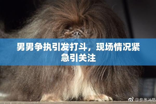 男男争执引发打斗，现场情况紧急引关注