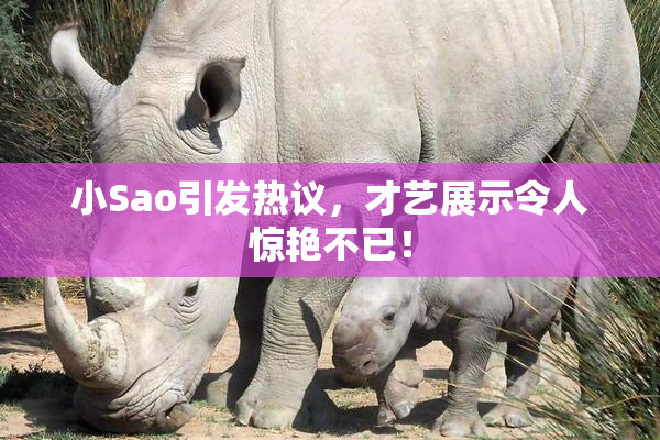 小Sao引发热议，才艺展示令人惊艳不已！