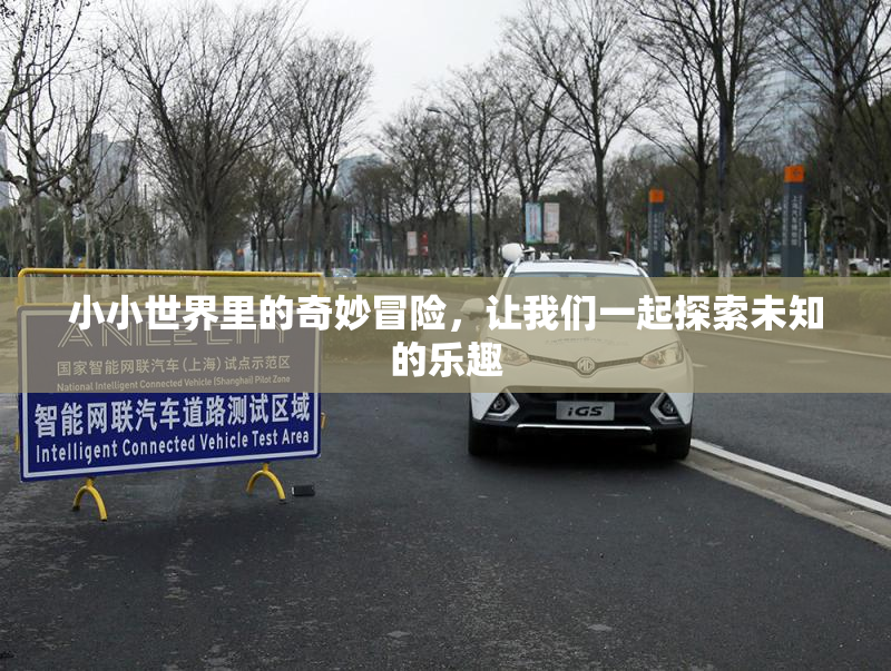 小小世界里的奇妙冒险，让我们一起探索未知的乐趣