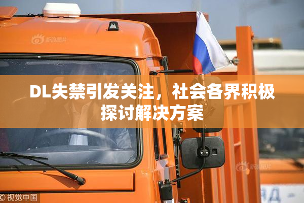 DL失禁引发关注，社会各界积极探讨解决方案