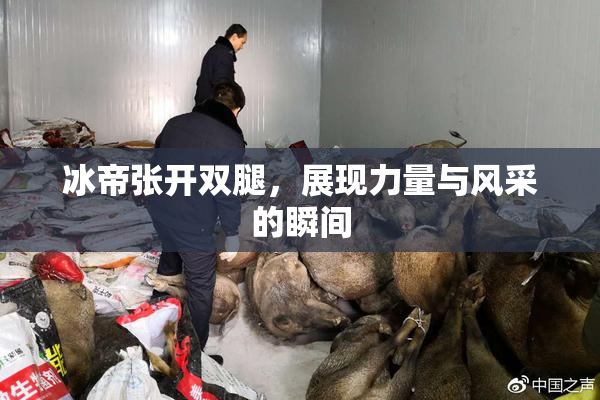 冰帝张开双腿，展现力量与风采的瞬间