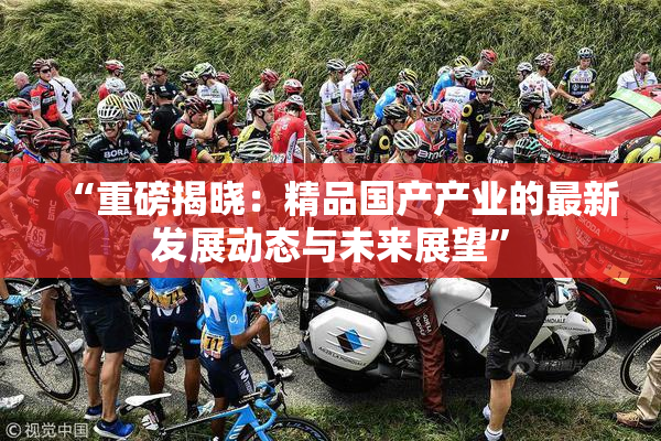 “重磅揭晓：精品国产产业的最新发展动态与未来展望”