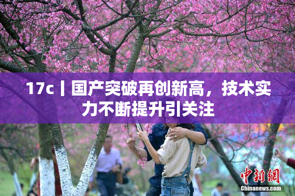 17c丨国产突破再创新高，技术实力不断提升引关注