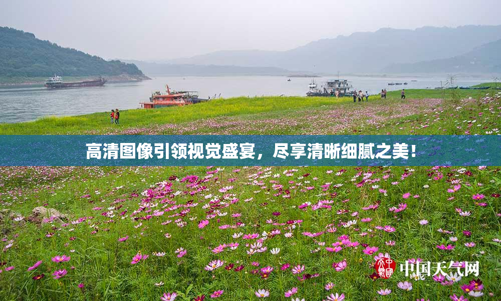 高清图像引领视觉盛宴，尽享清晰细腻之美！
