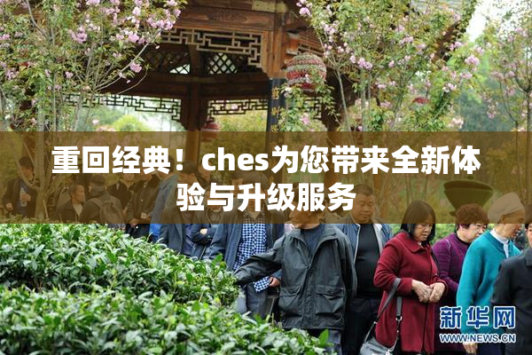 重回经典！ches为您带来全新体验与升级服务
